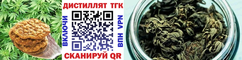 Canna-Cookies марихуана  Ноябрьск 