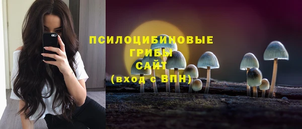 spice Волоколамск
