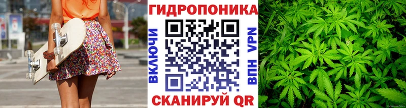 Бошки марихуана планчик  кракен ТОР  Ноябрьск  где найти наркотики 